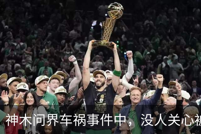 神木问界车祸事件中，没人关心被烧死的那个人